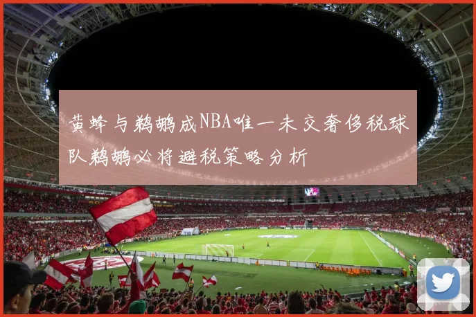 黄蜂与鹈鹕成NBA唯一未交奢侈税球队鹈鹕必将避税策略分析